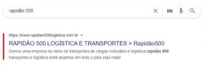 pesquisa no google seo exemplo 2
